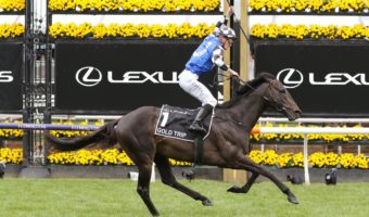 Melbourne Cup 2026 Start Time: Official Race Date, Local Times by State & Full Cup Day Schedule