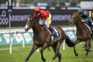 Undefeated Queen Hunts History: Autumn Glow Heads Hot 2025 Golden Eagle Field