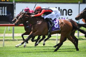 Undefeated Queen Hunts History: Autumn Glow Heads Hot 2025 Golden Eagle Field