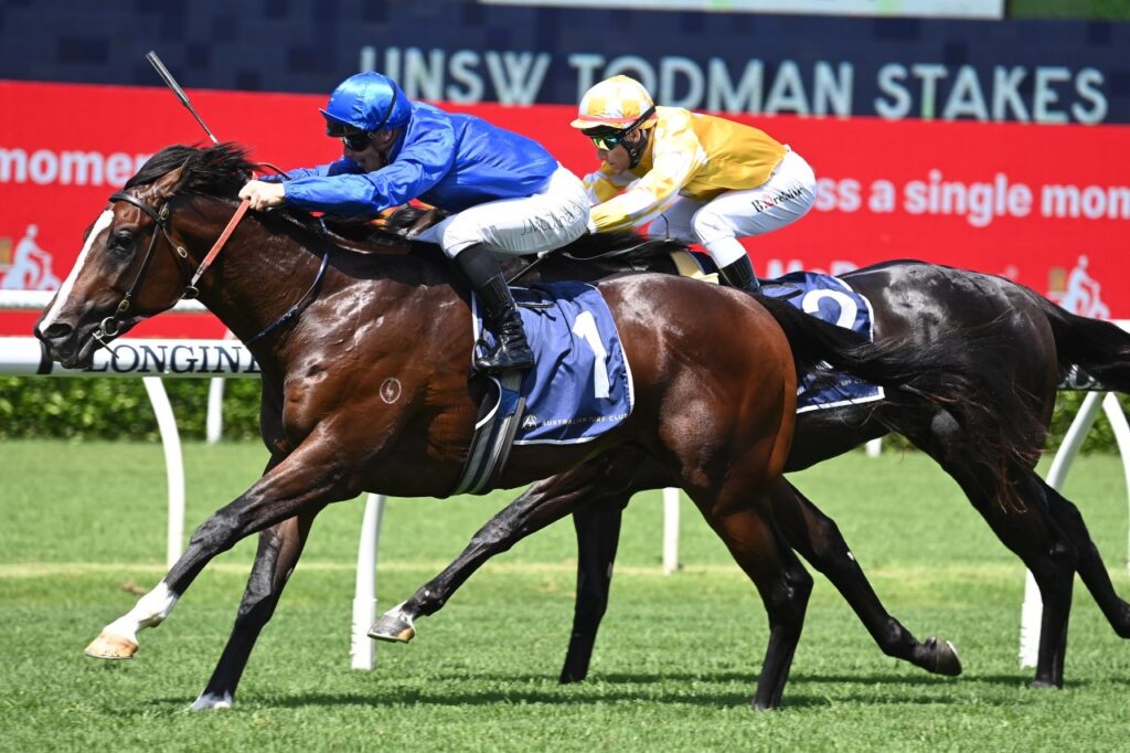 Cylinder Heads 2023 Run To The Rose Field & Betting - races.com.au