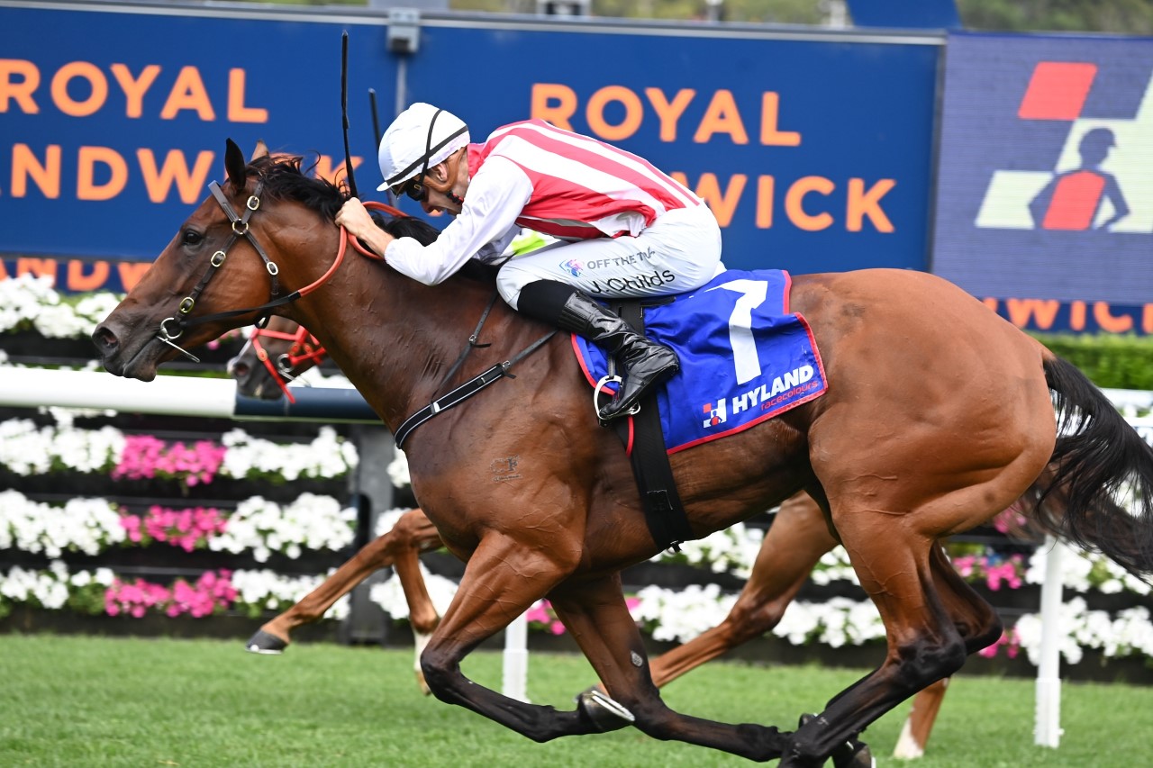 2023 Challenge Stakes Winner Passive Aggressive