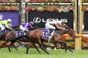 2023 Australian Guineas Winner Legarto