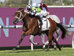 2023 Phar Lap Stakes Winner Zougotcha