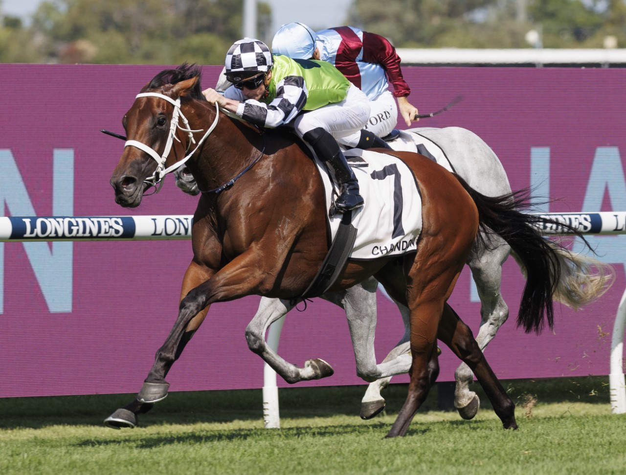 2023 Phar Lap Stakes Winner Zougotcha
