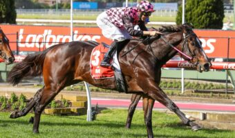 Marvel Rothfire Scores Upset 2026 Ladbrokes Doomben 10,000 Win