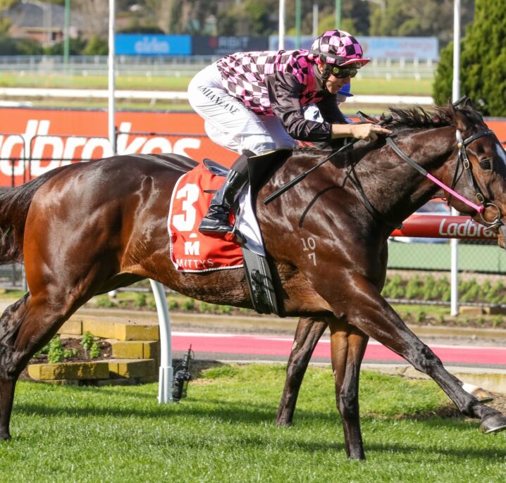 Marvel Rothfire Scores Upset 2026 Ladbrokes Doomben 10,000 Win