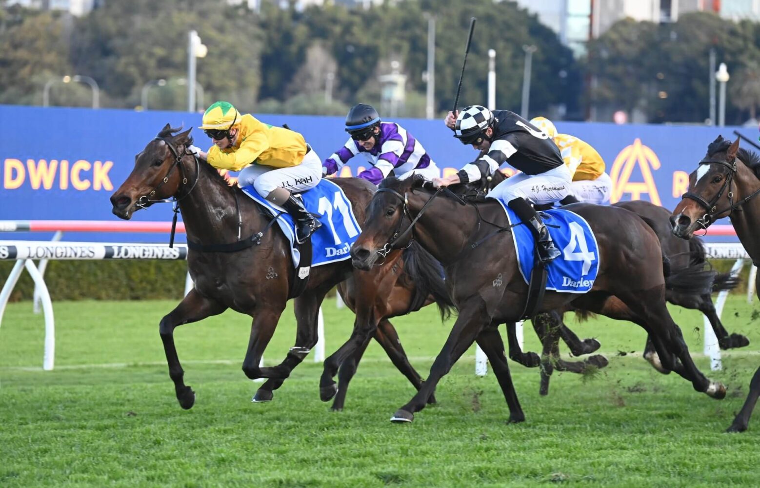 2023 Silver Shadow Stakes winner Autumn Ballet