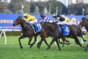 2023 Silver Shadow Stakes winner Autumn Ballet