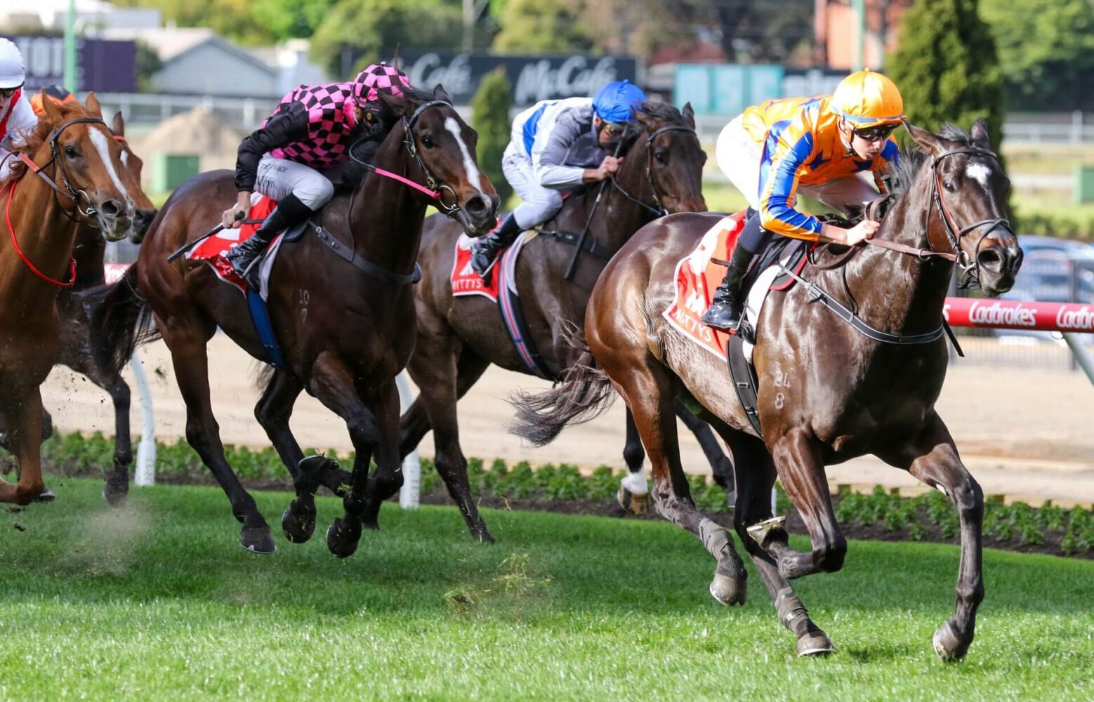 2023 McEwen Stakes winner Imperatriz