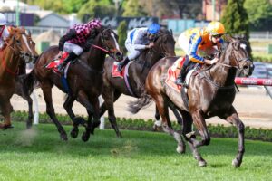2023 McEwen Stakes winner Imperatriz
