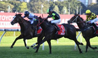 Private Eye Heads 2025 Missile Stakes Field & Odds