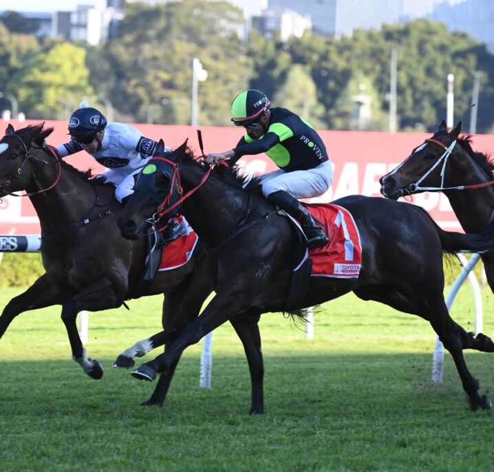 Private Eye Heads 2025 Missile Stakes Field & Odds