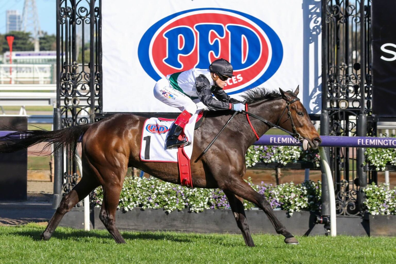 Ladbrokes Cox Plate 2023 Second Acceptances Feature Mr Brightside ...