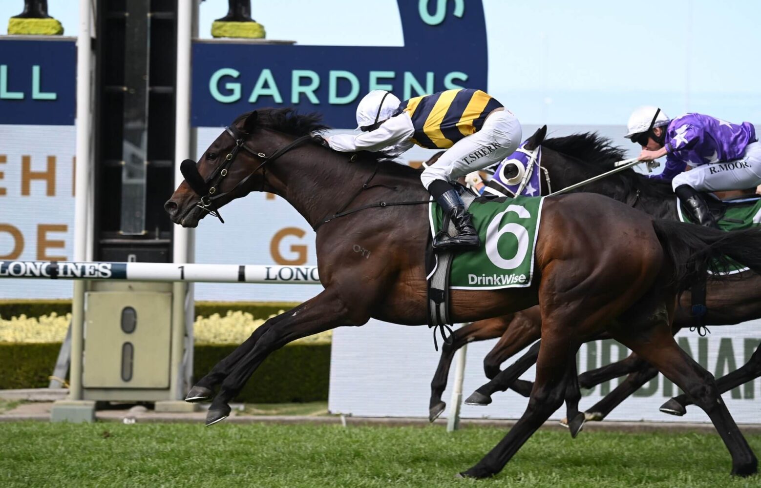 2023 Colin Stephen Quality Winner Athabascan