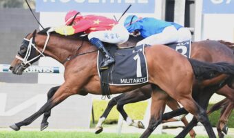 2026 Ajax Stakes Field & Betting Update: Militarize Favourite to Salute