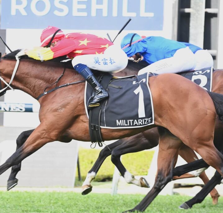 2026 Ajax Stakes Field & Betting Update: Militarize Favourite to Salute