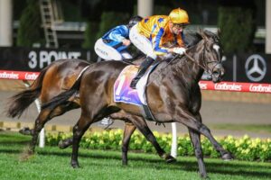 2023 Moir Stakes winner Imperatriz