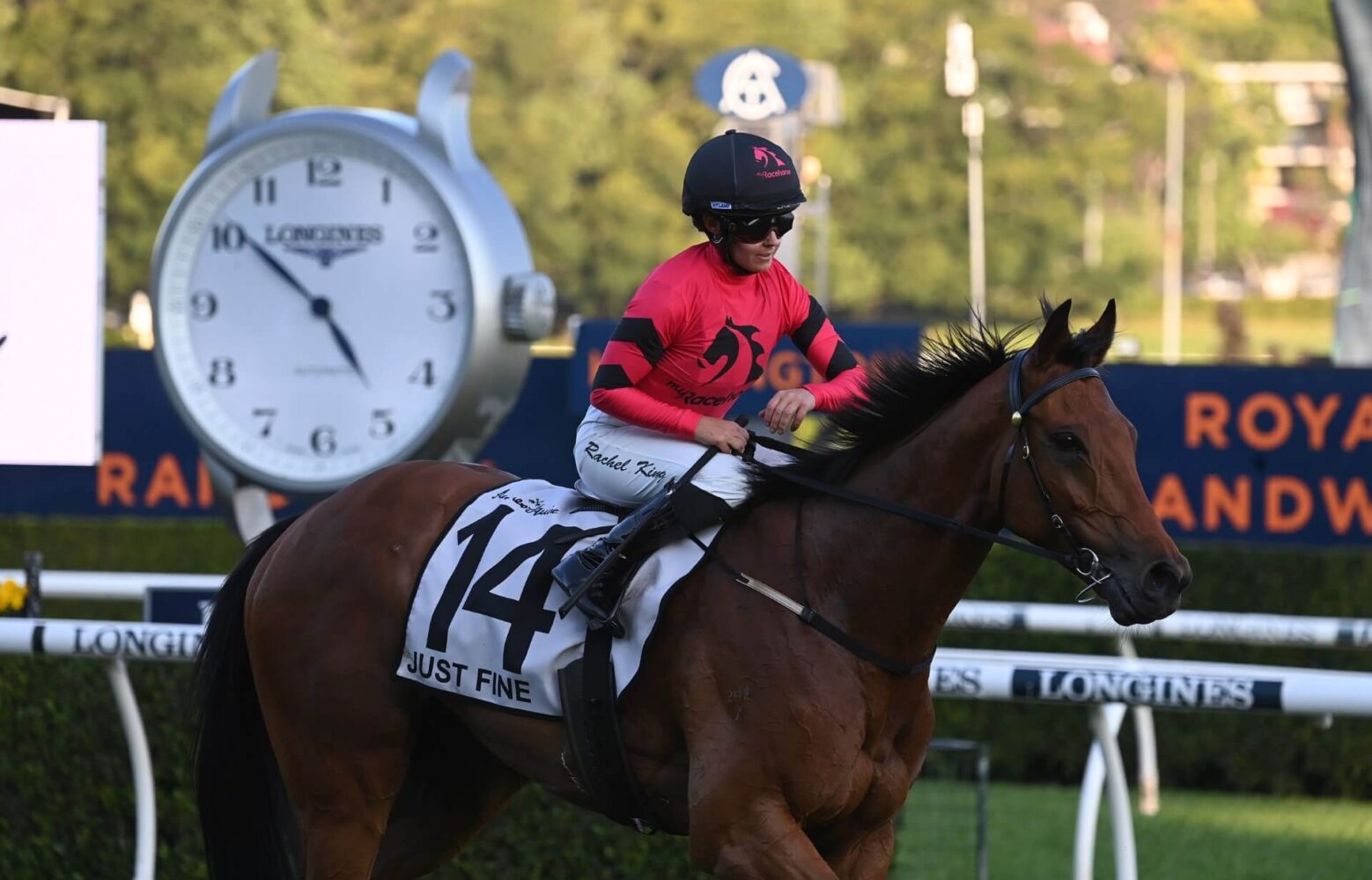 2023 The Metropolitan winner Just Fine