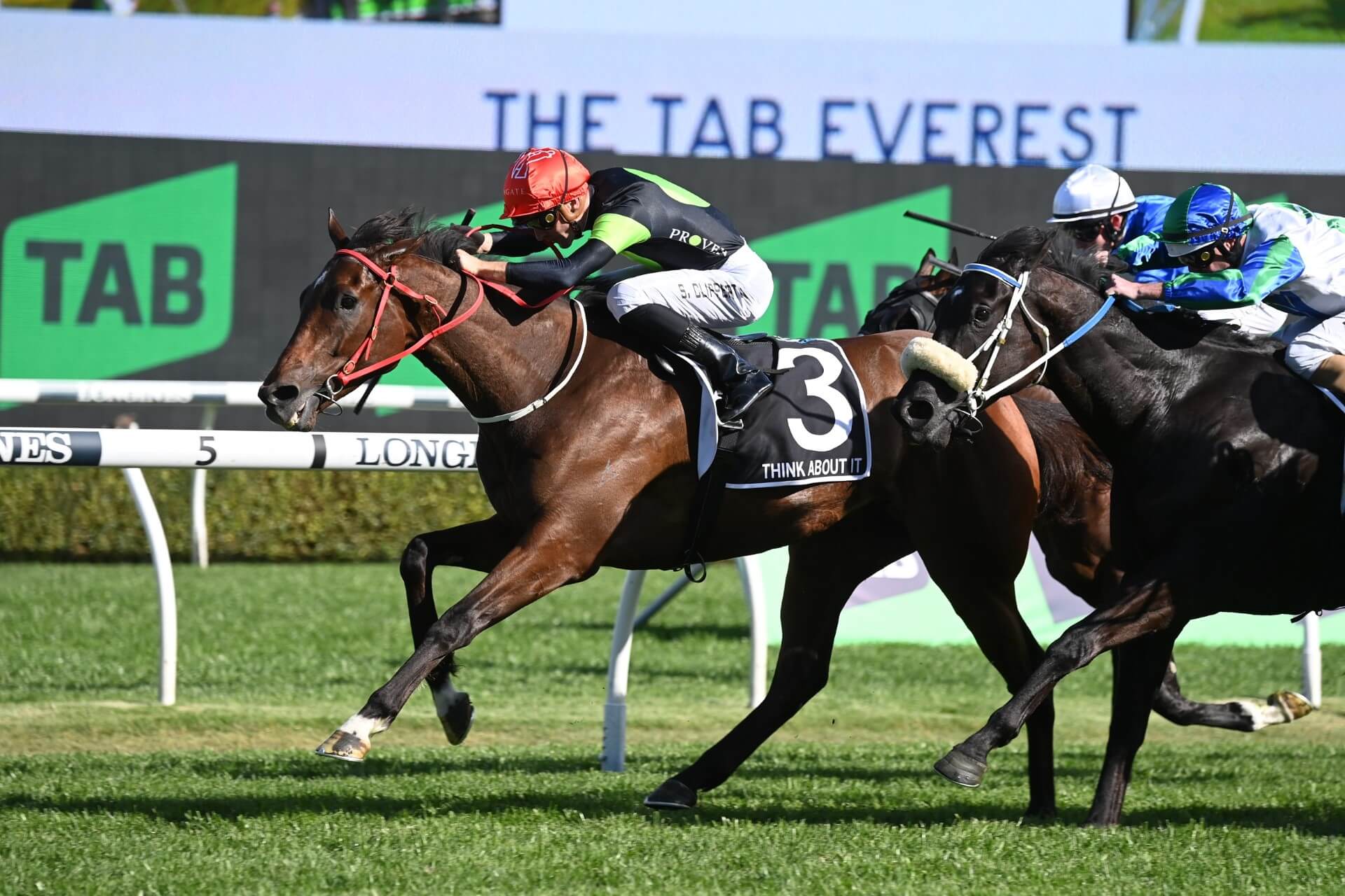 2023 The Everest Winner Think About It Beats I Wish I Win, Private Eye ...