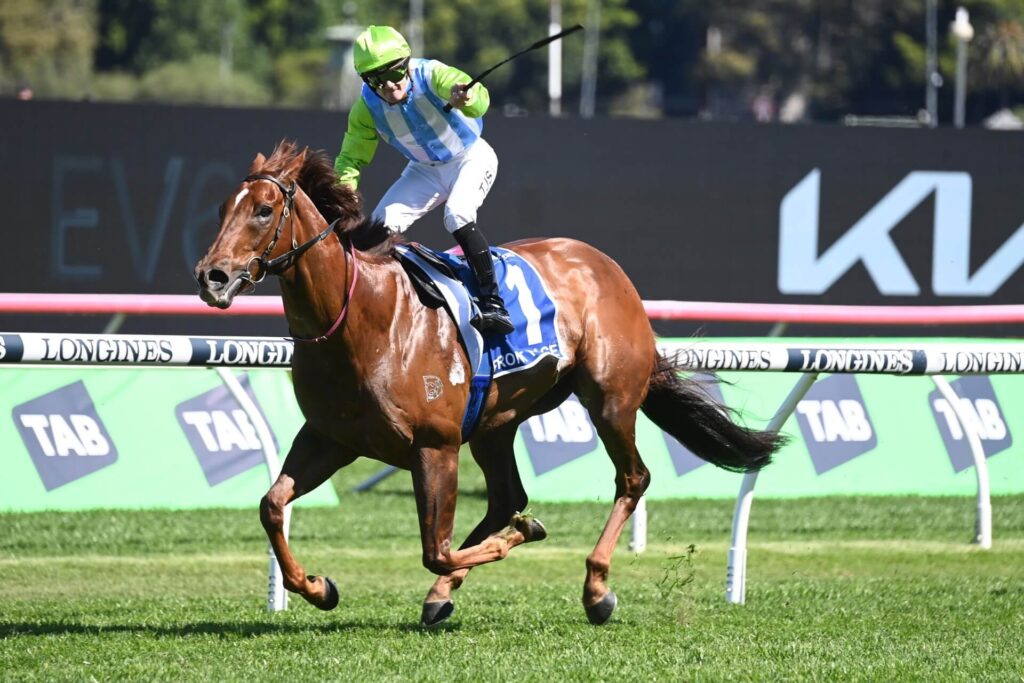 2023 The Kosciuszko winner Front Page