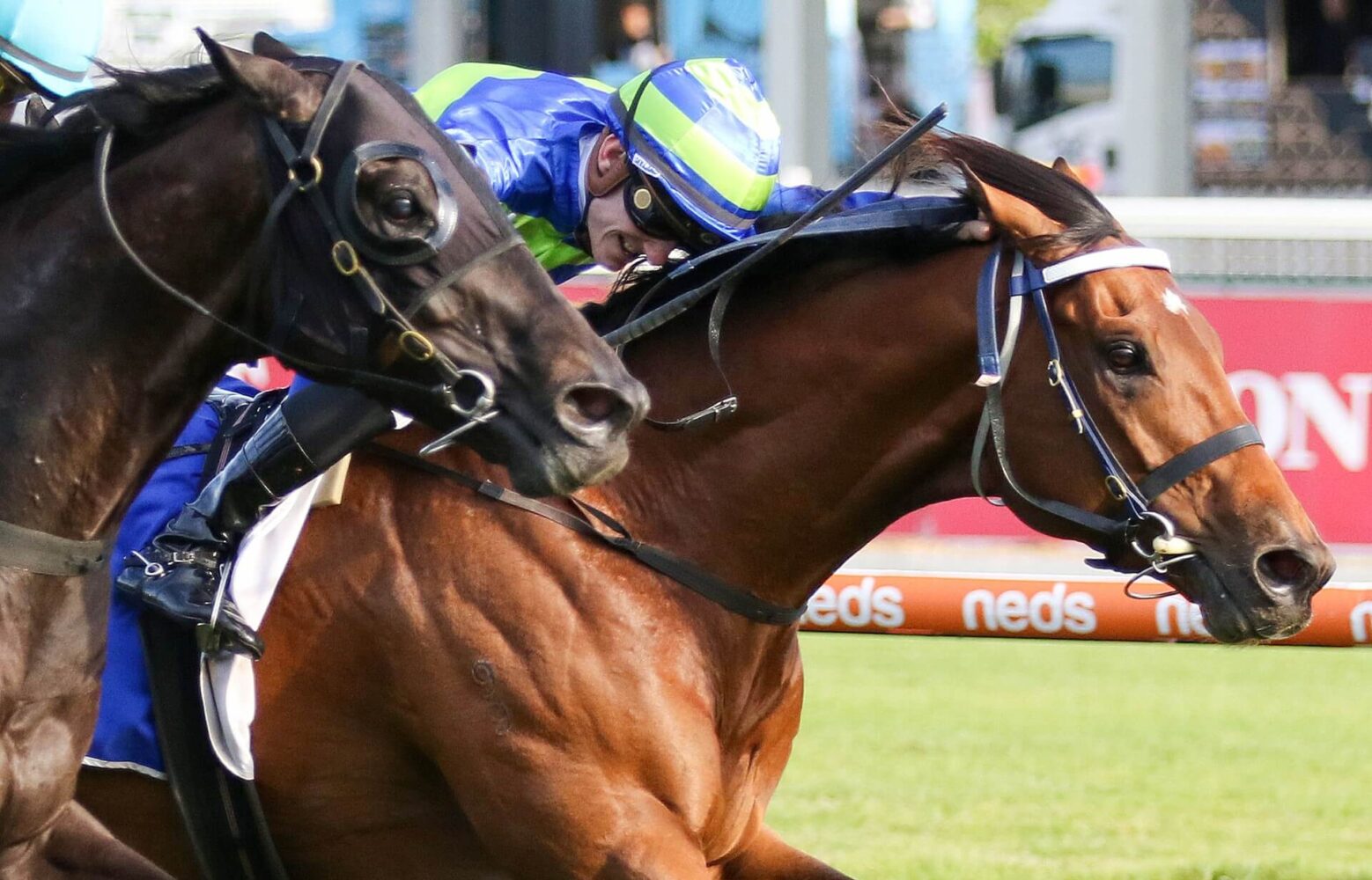 2023 Toorak Handicap winner Attrition