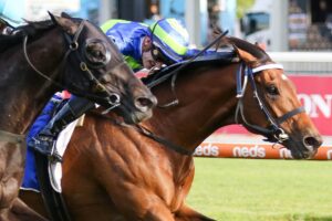 2023 Toorak Handicap winner Attrition