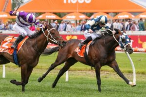 2023 Caulfield Classic winner Sunsets