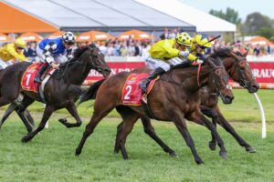 2023 Caulfield Cup winner Without A Fight