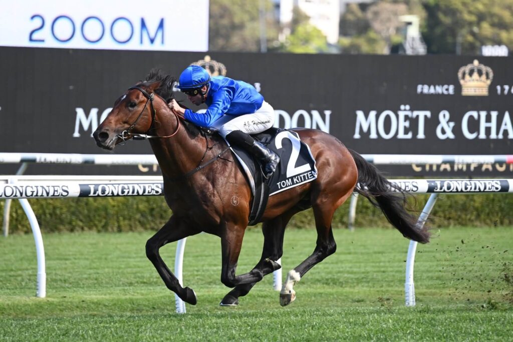2023 Spring Champion Stakes winner Tom Kitten