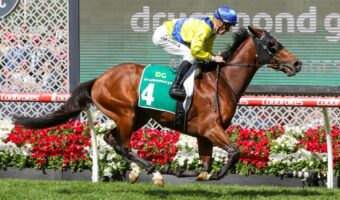 Apulia Heads 2025 Ted Van Heemst Field & Betting