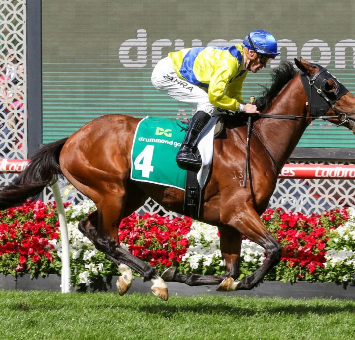 Apulia Heads 2025 Ted Van Heemst Field & Betting