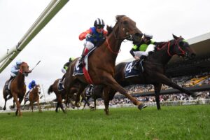 2023 Winners Stakes winner Bella Nipotina