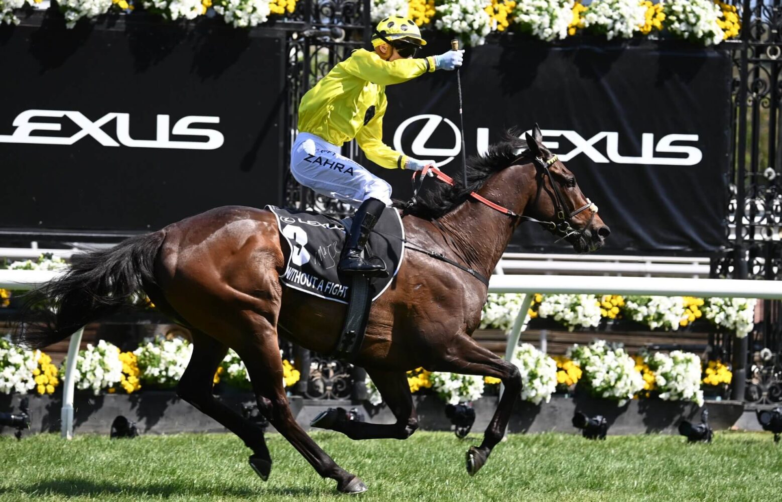 2023 Melbourne Cup winner Without A Fight