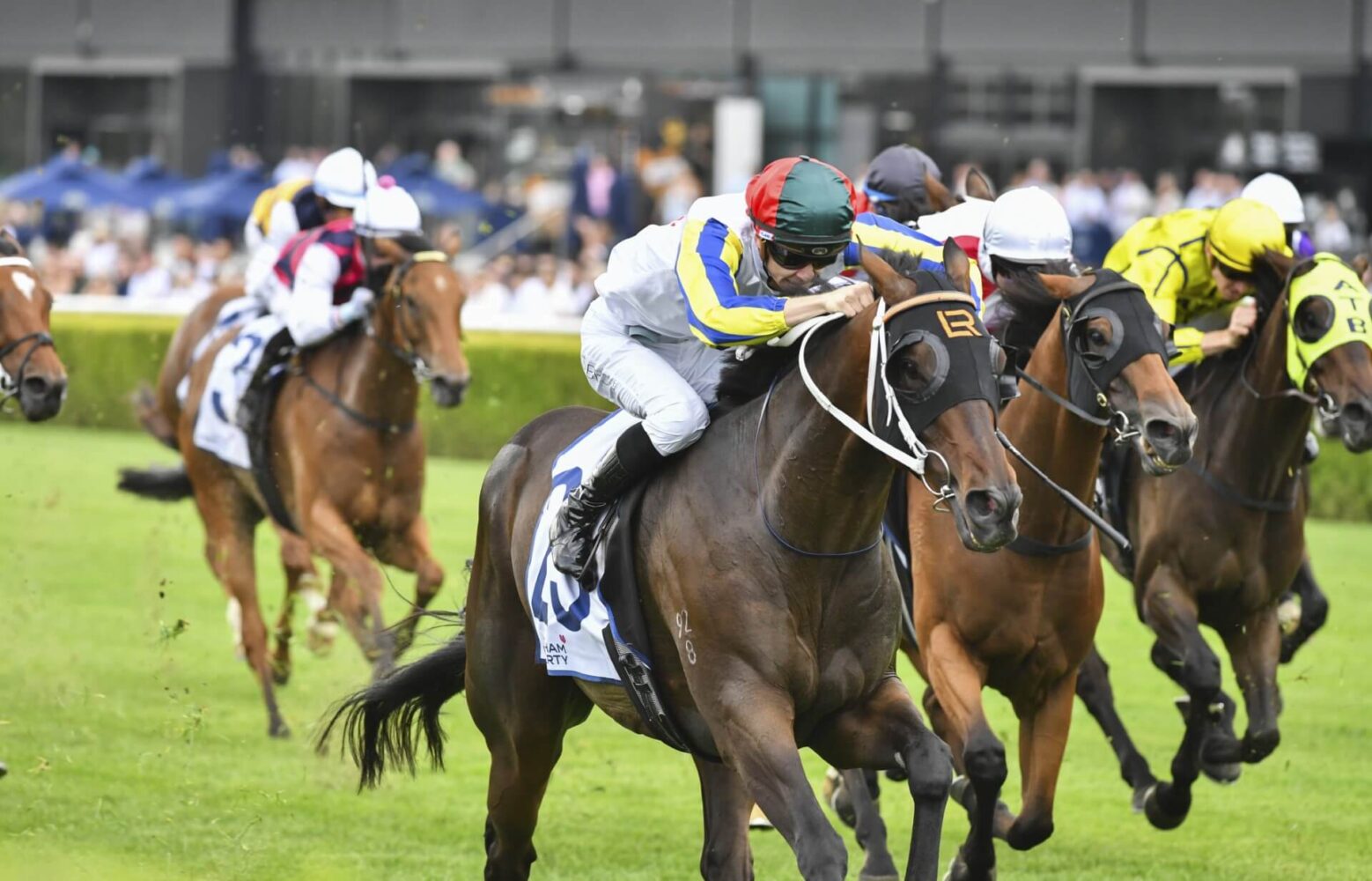 2023 The Ingham winner Loch Eagle