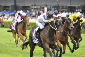2023 The Ingham winner Loch Eagle