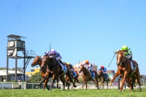2024 Blue Diamond Fillies Prelude winner Hayasugi
