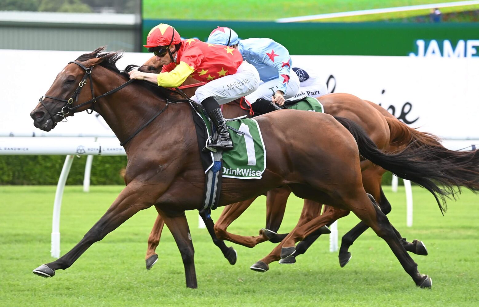 2024 Expressway Stakes winner King Of Sparta