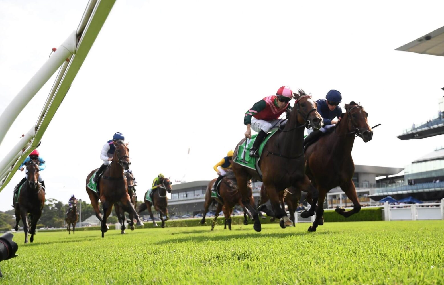 2024 Light Fingers Stakes winner Kimochi