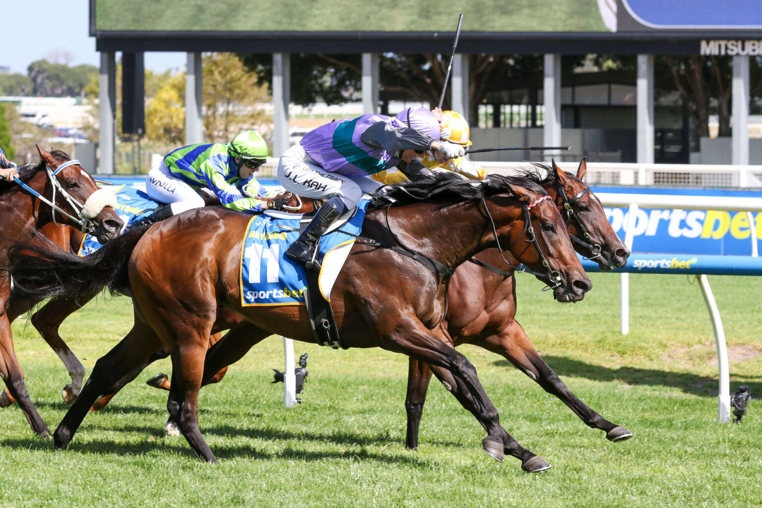 2024 Blue Diamond Stakes Results: Hayasugi Becomes Second Filly in ...
