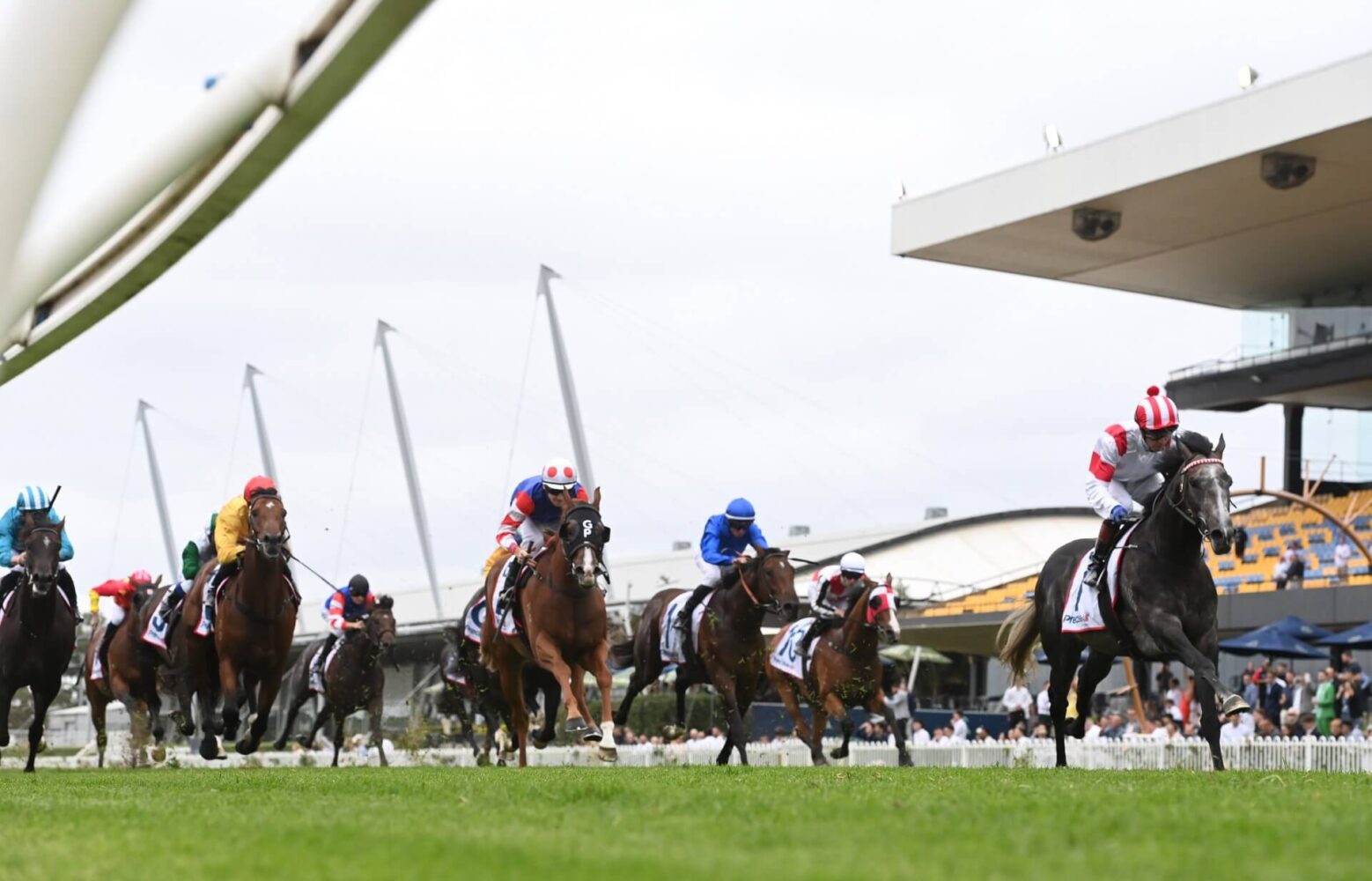 2024 Hobartville Stakes winner Celestial Legend