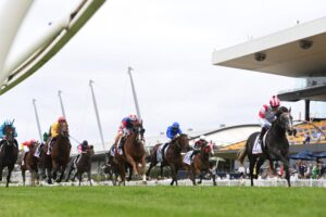 2024 Hobartville Stakes winner Celestial Legend