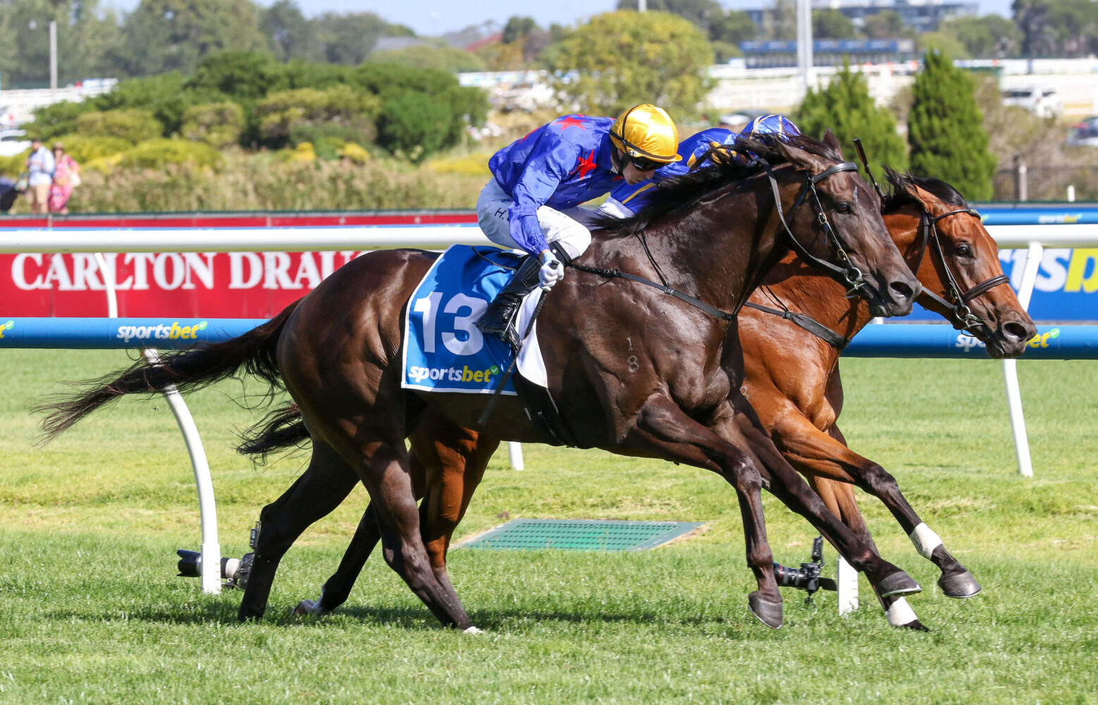 2024 Oakleigh Plate winner Queman