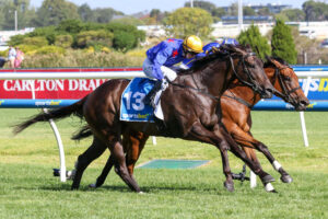 2024 Oakleigh Plate winner Queman