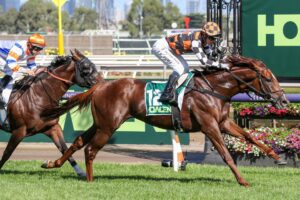 2024 Australian Guineas winner Southport Tycoon