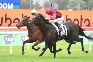 2024 Surround Stakes winner Tropical Squall