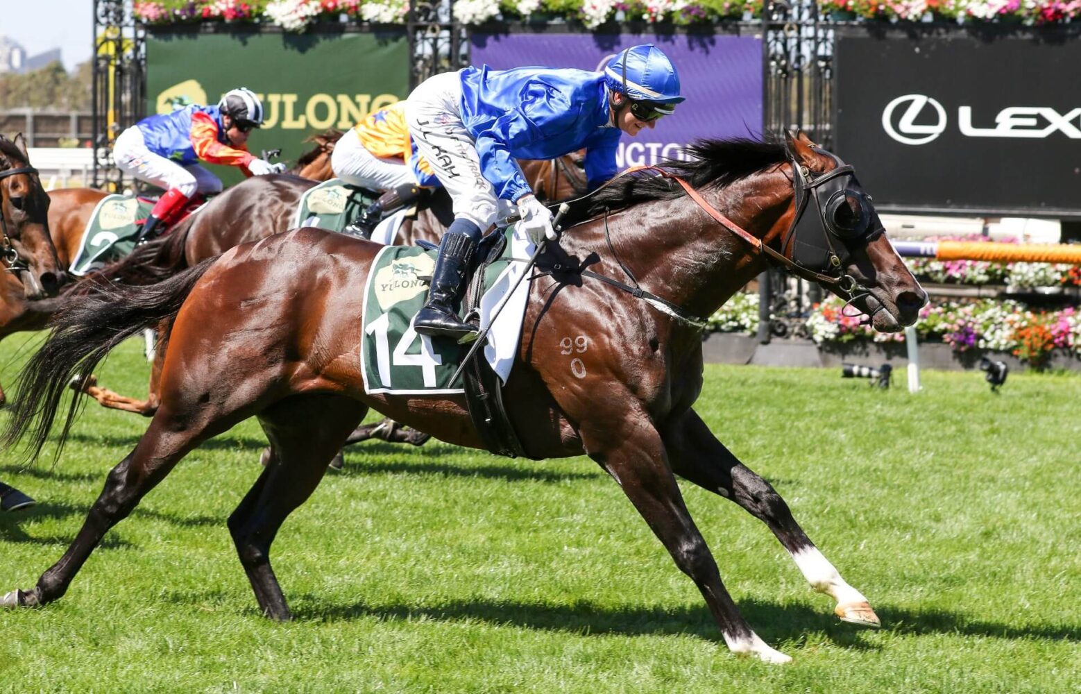 2024 Newmarket Handicap winner Cylinder