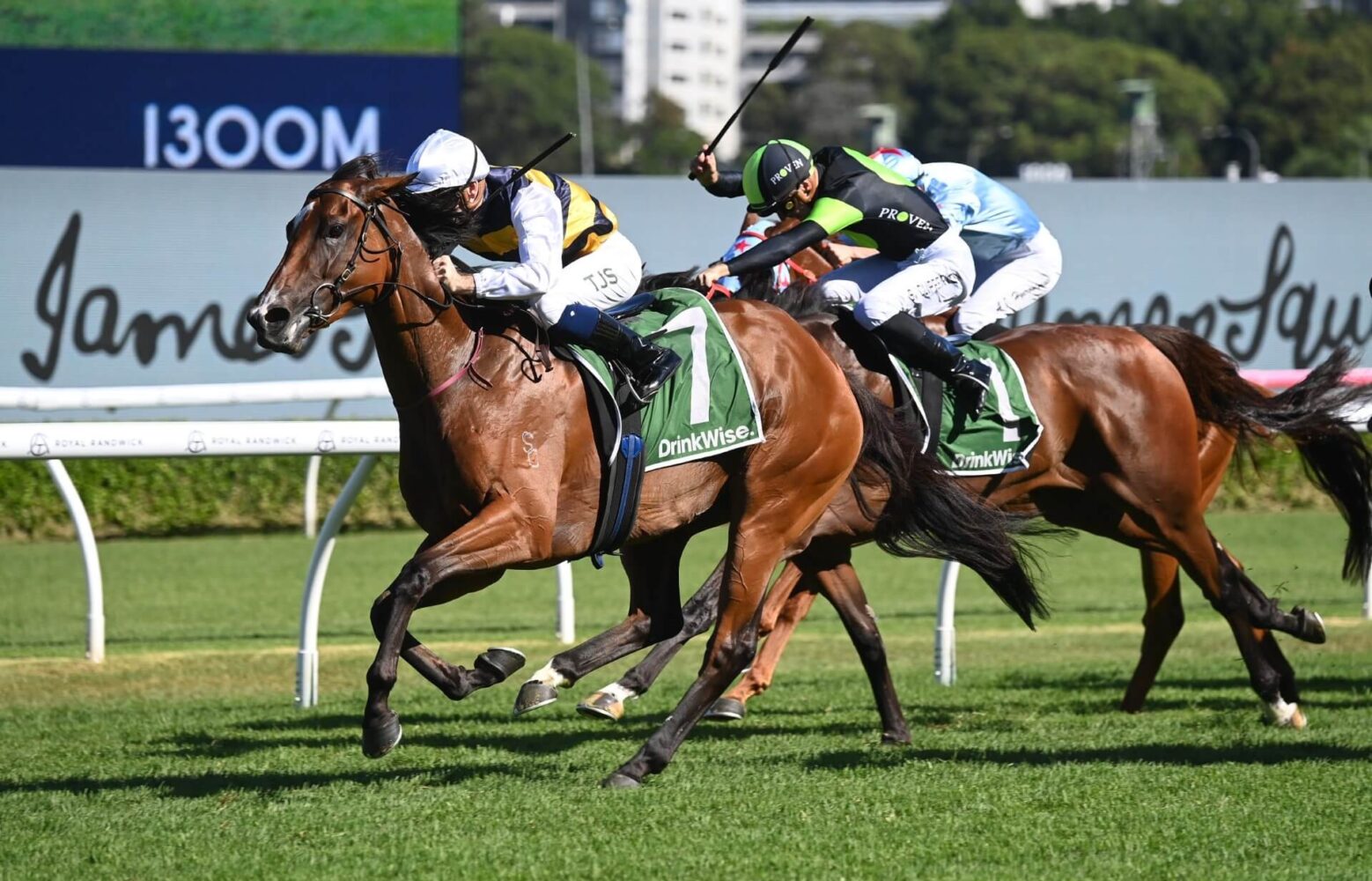 2024 Canterbury Stakes winner Lady Laguna