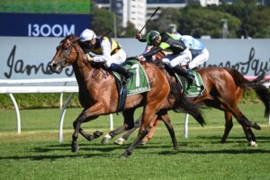 2024 Canterbury Stakes winner Lady Laguna