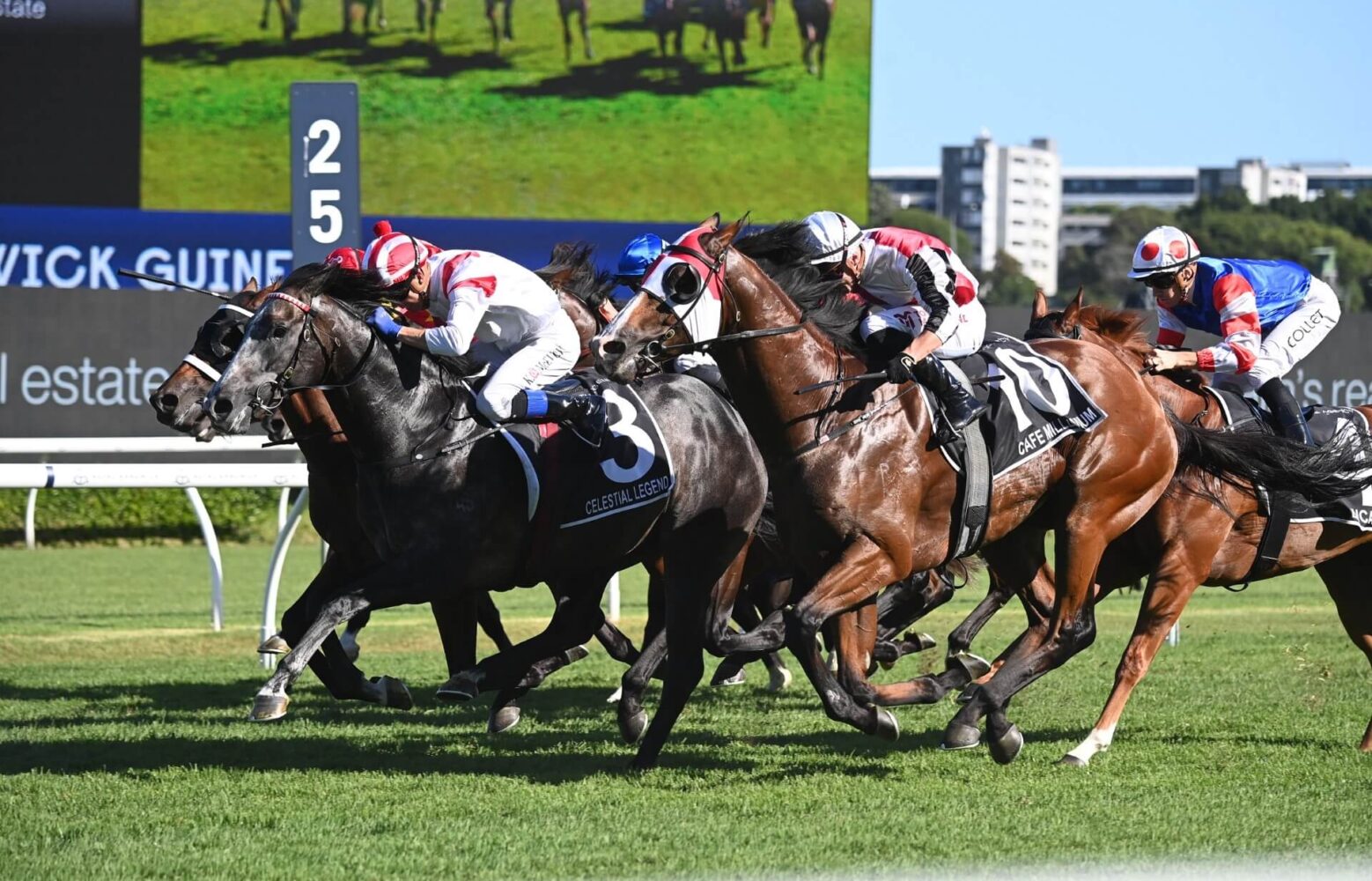 2024 Randwick Guineas winner Celestial Legend