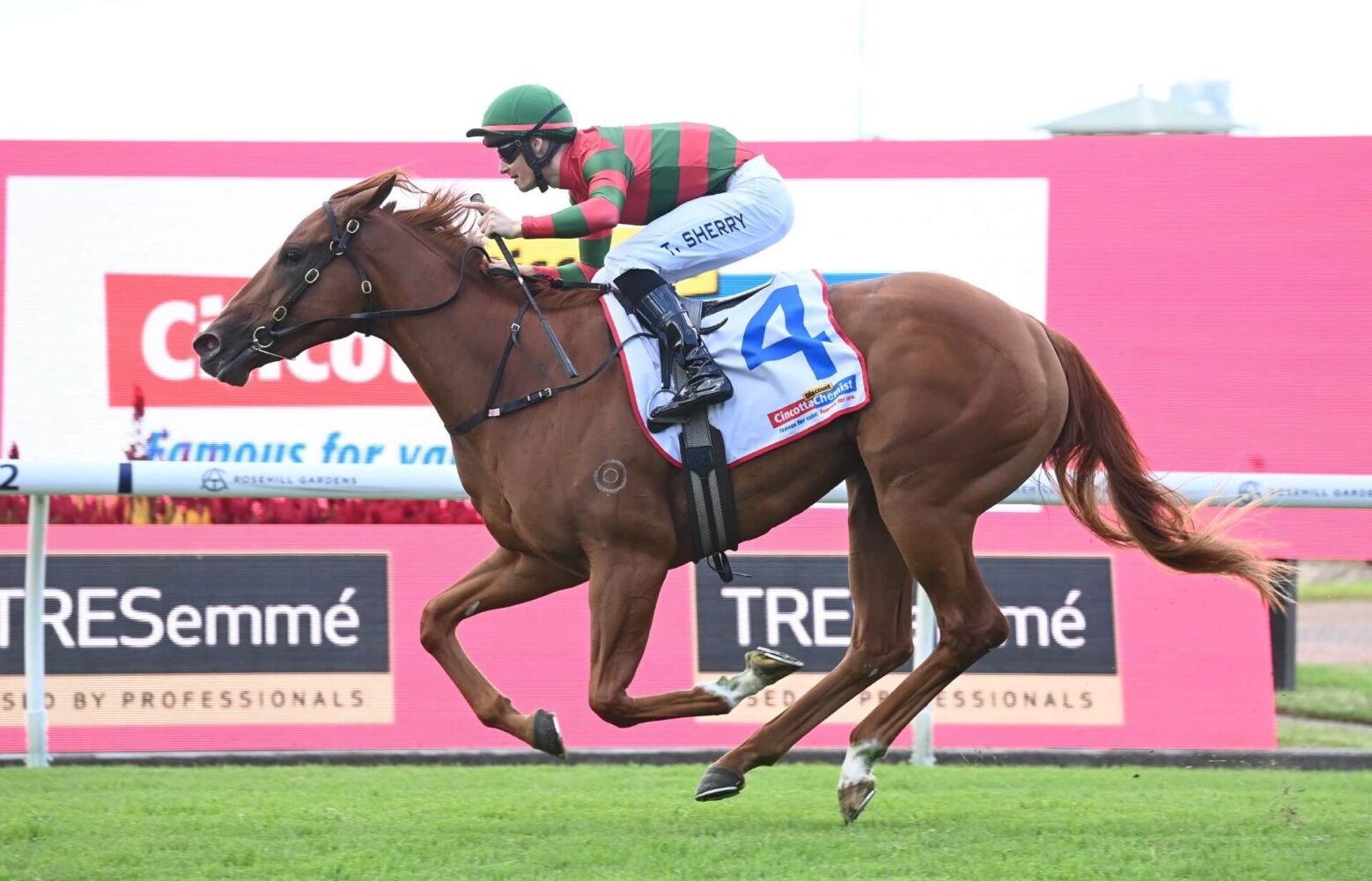 2024 Magic Night Stakes winner Drifting